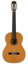 Salvador Cortez CS-130 Chitarra Classica con Top in Abete Europeo Massello