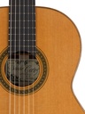 Salvador Cortez CS-130 Chitarra Classica con Top in Abete Europeo Massello