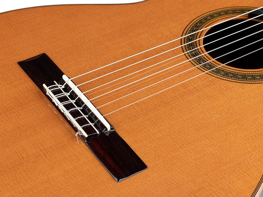 Salvador Cortez CS-130 Chitarra Classica con Top in Abete Europeo Massello