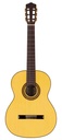 Salvador Cortez CS-50 Chitarra Classica con Top in Abete Europeo Massello
