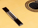 Salvador Cortez CS-50 Chitarra Classica con Top in Abete Europeo Massello