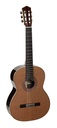 Salvador Cortez Suite C Chitarra classica da concerto, in cedro