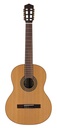 Salvador Cortez Lola C Chitarra classica da studio 4/4