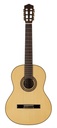 Salvador Cortez Jada S Chitarra classica 4/4 in acero marezzato