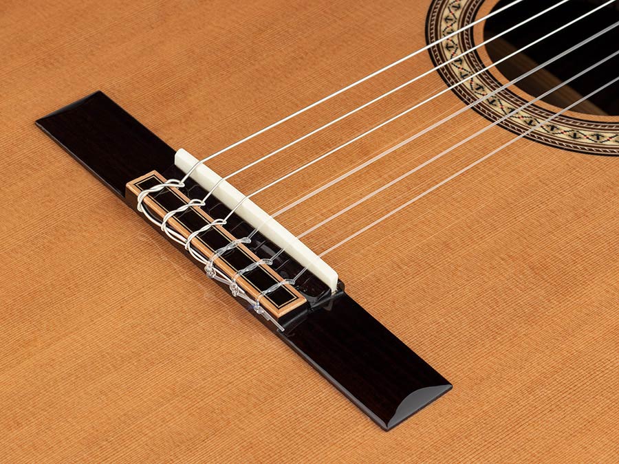 Salvador Cortez Ilsa C Chitarra classica 4/4 ideale per il liceo musicale