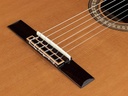 Salvador Cortez Ilsa CCE Chitarra classica amplificata a spalla mancante