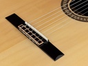 Salvador Cortez Ilsa SCE Chitarra classica amplificata a spalla mancante