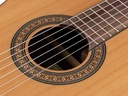 Salvador Cortez Lola C Chitarra classica da studio 4/4