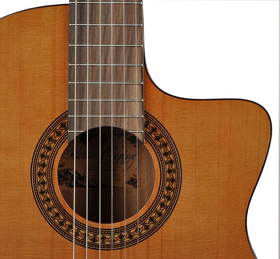 Salvador Cortez CC-22CE Chitarra classica spalla mancante elettrificata