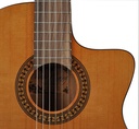 Salvador Cortez CC-22CE Chitarra classica spalla mancante elettrificata