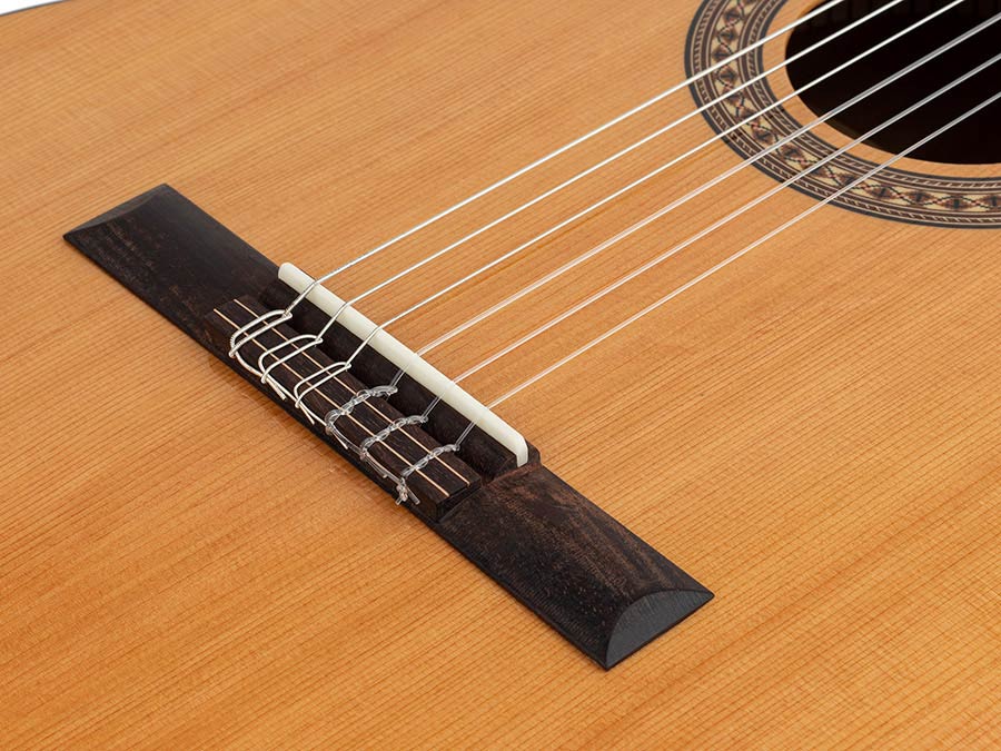 Salvador Cortez CC-22CE Chitarra classica spalla mancante elettrificata