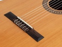 Salvador Cortez CC-22CE Chitarra classica spalla mancante elettrificata