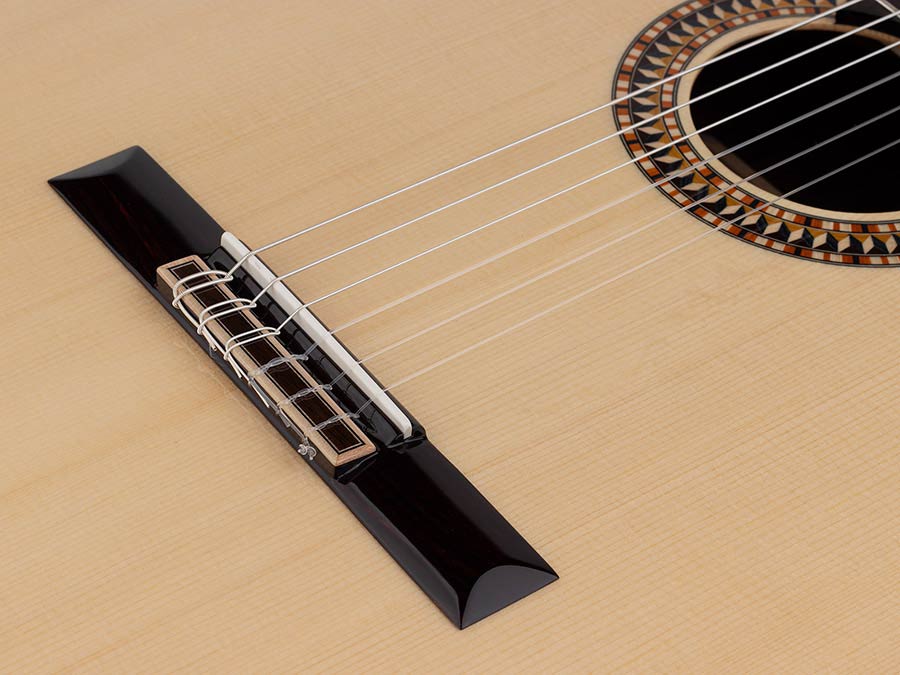 Salvador Cortez CS-110 Chitarra Classica con Top in Abete Europeo Massello