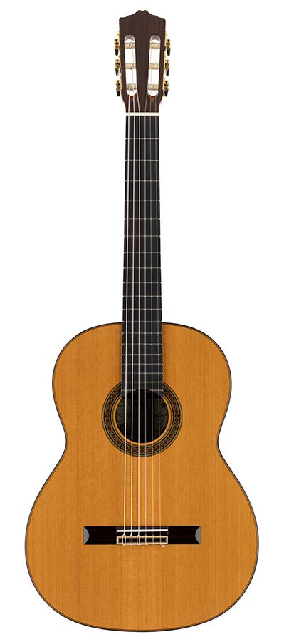 Salvador Cortez CC-110 Chitarra Classica con Top in Cedro Canadese Massello