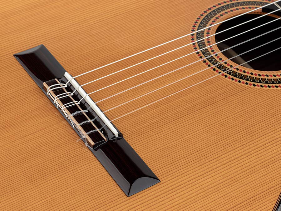 Salvador Cortez CC-90 Chitarra Classica All Solid in Cedro Canadese Massello e Palissandro