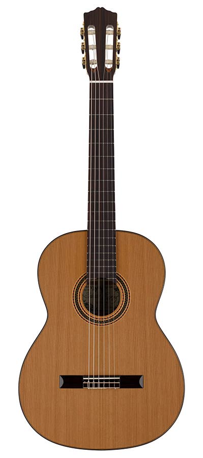 Salvador Cortez CC-80 Chitarra Classica con Top in Cedro Massello