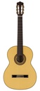 Salvador Cortez CS-65 Chitarra Classica Solid Top in Abete Europeo e Acero Fiammato