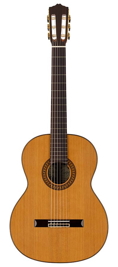 Salvador Cortez CC-60 Chitarra Classica con Top in Cedro Canadese Massello