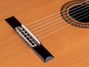 Salvador Cortez CC-60 Chitarra Classica con Top in Cedro Canadese Massello