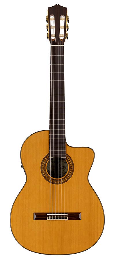 Salvador Cortez CC-60CE Chitarra Classica Cutaway con Top in Cedro Massello e Elettronica Fishman Presys I