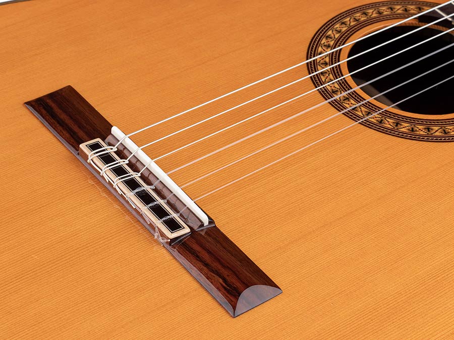 Salvador Cortez CC-60CE Chitarra Classica Cutaway con Top in Cedro Massello e Elettronica Fishman Presys I