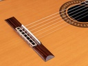 Salvador Cortez CC-60CE Chitarra Classica Cutaway con Top in Cedro Massello e Elettronica Fishman Presys I
