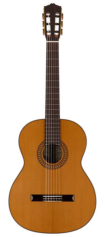 Salvador Cortez CC-50 Chitarra Classica con Top in Cedro Canadese Massello