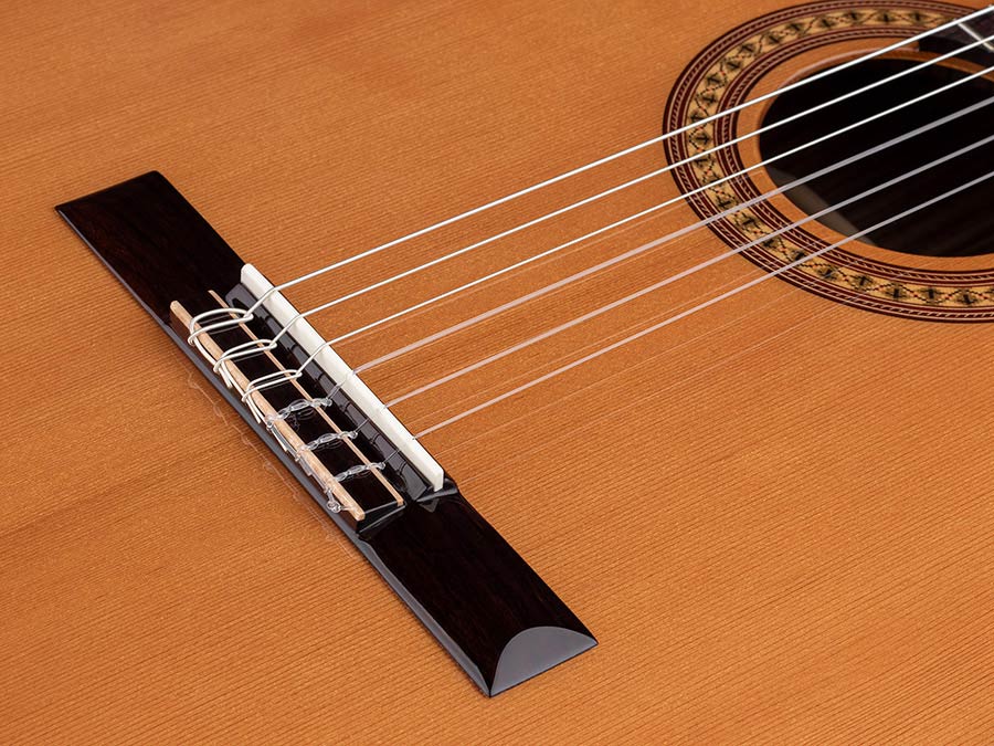 Salvador Cortez CC-50 Chitarra Classica con Top in Cedro Canadese Massello