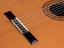Salvador Cortez CC-50 Chitarra Classica con Top in Cedro Canadese Massello