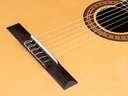 Salvador Cortez CS-32 Chitarra Classica con Top in Abete Europeo Massello