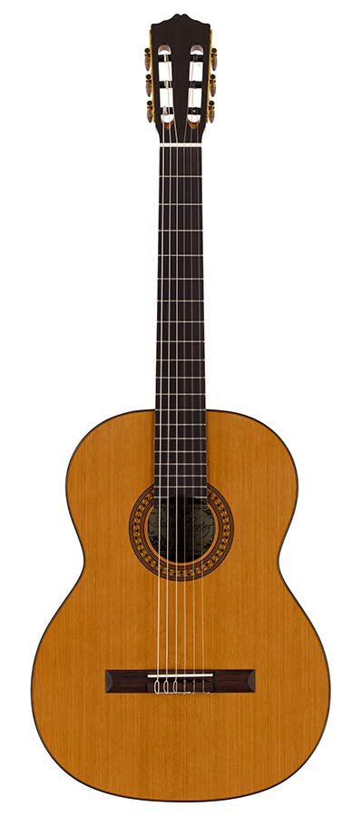 Salvador Cortez CC-32 Chitarra Classica in Cedro Canadese