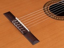 Salvador Cortez CC-32 Chitarra Classica in Cedro Canadese