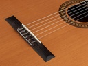 Salvador Cortez CC-25 Chitarra Classica con Top in Cedro Canadese Massello