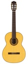 Salvador Cortez CS-25 Chitarra Classica con Top in Abete Engelmann Massello