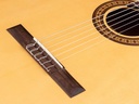 Salvador Cortez CS-25 Chitarra Classica con Top in Abete Engelmann Massello