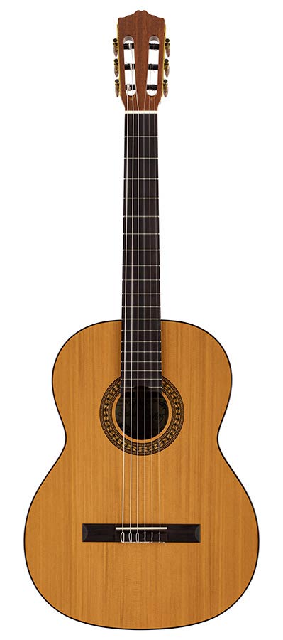 Salvador Cortez CC-22 Chitarra Classica con Top in Cedro Canadese Massello