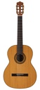 Salvador Cortez CC-22 Chitarra Classica con Top in Cedro Canadese Massello