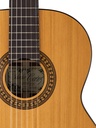 Salvador Cortez CC-22 Chitarra Classica con Top in Cedro Canadese Massello