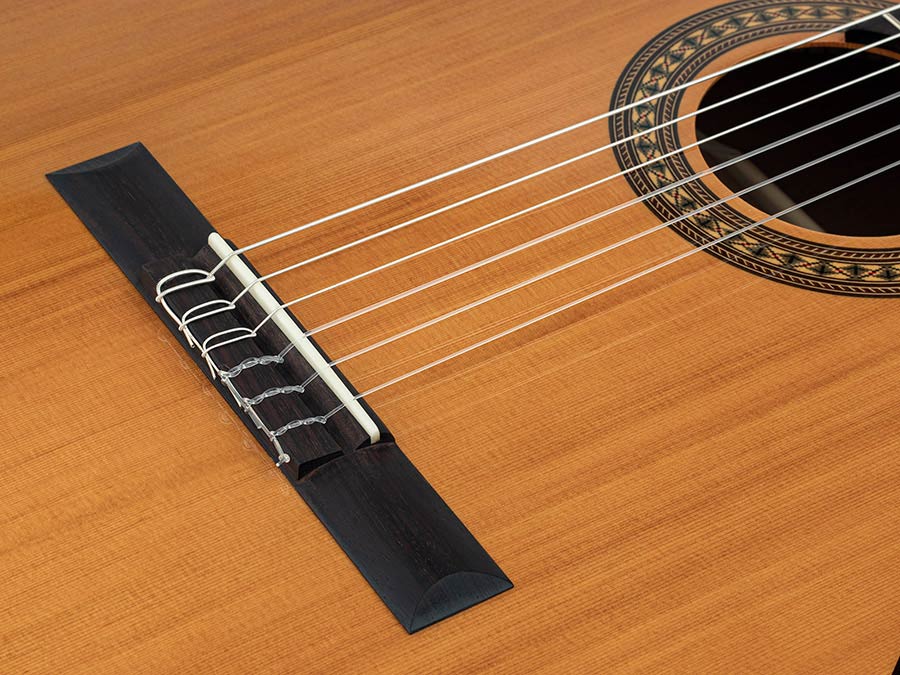 Salvador Cortez CC-22 Chitarra Classica con Top in Cedro Canadese Massello