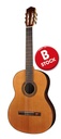 Salvador Cortez B/CC-15 B-stock - Chitarra classica da studio 4/4    