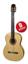 Salvador Cortez B/CF-55 B-stock - Chitarra flamenco       