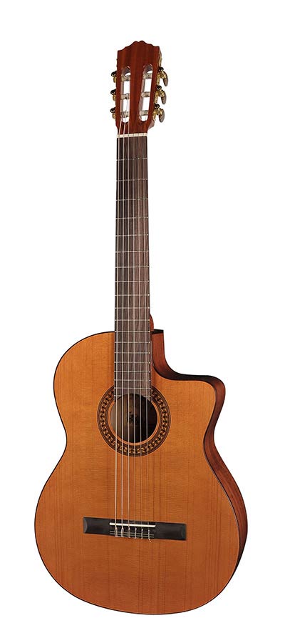 Salvador Cortez CC-22CE Chitarra classica spalla mancante elettrificata