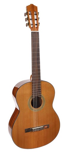 Salvador Cortez CC-10 Chitarra classica 4/4 ideale per studenti e scuole di musica